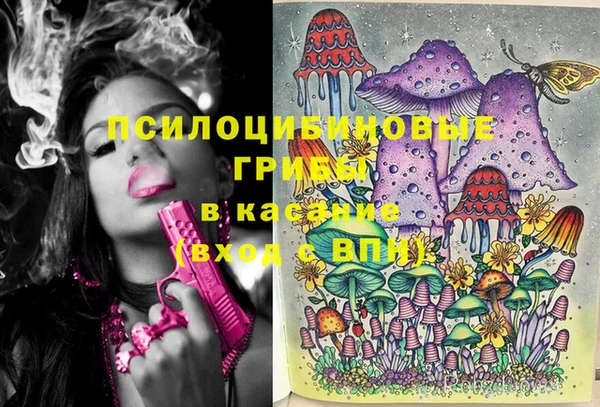 спиды Сатка